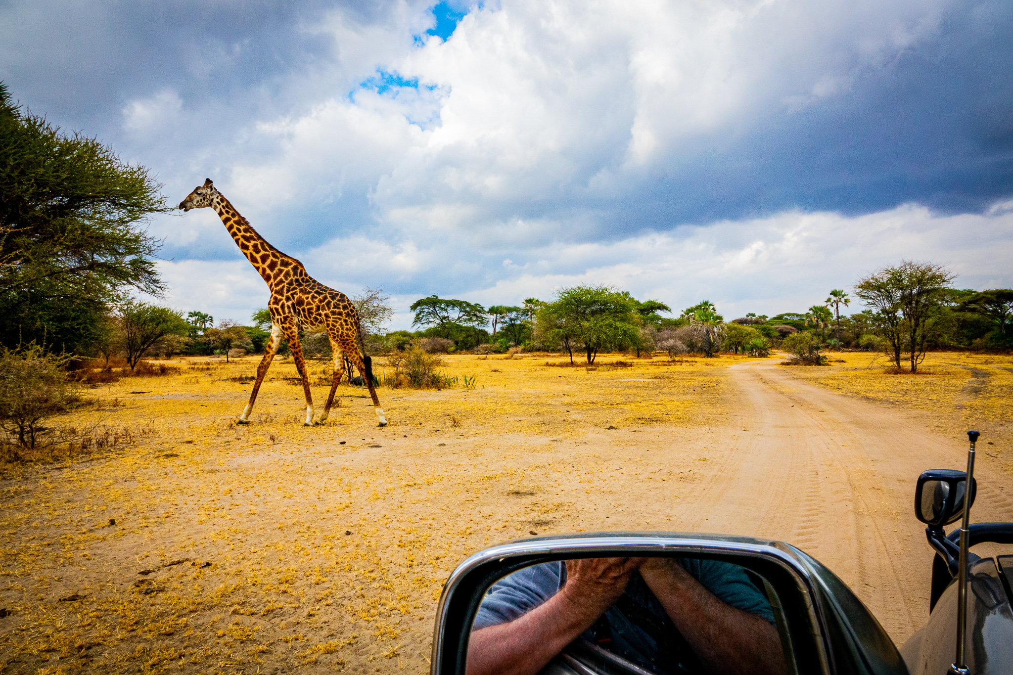 Explore Kenya national park Safari – 7 Days 6 Nights