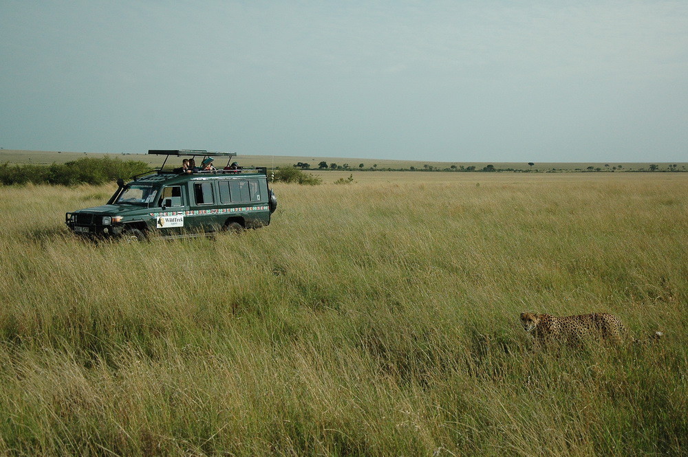 Kenyan Nature Safari