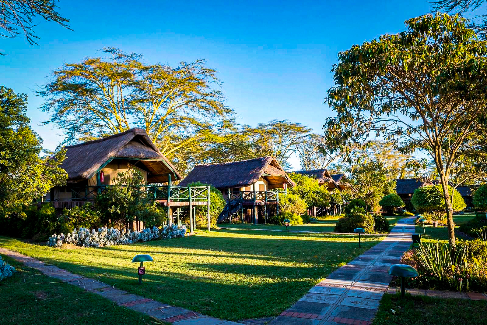 Kenya national park safari featuring Serena luxury Hotels
