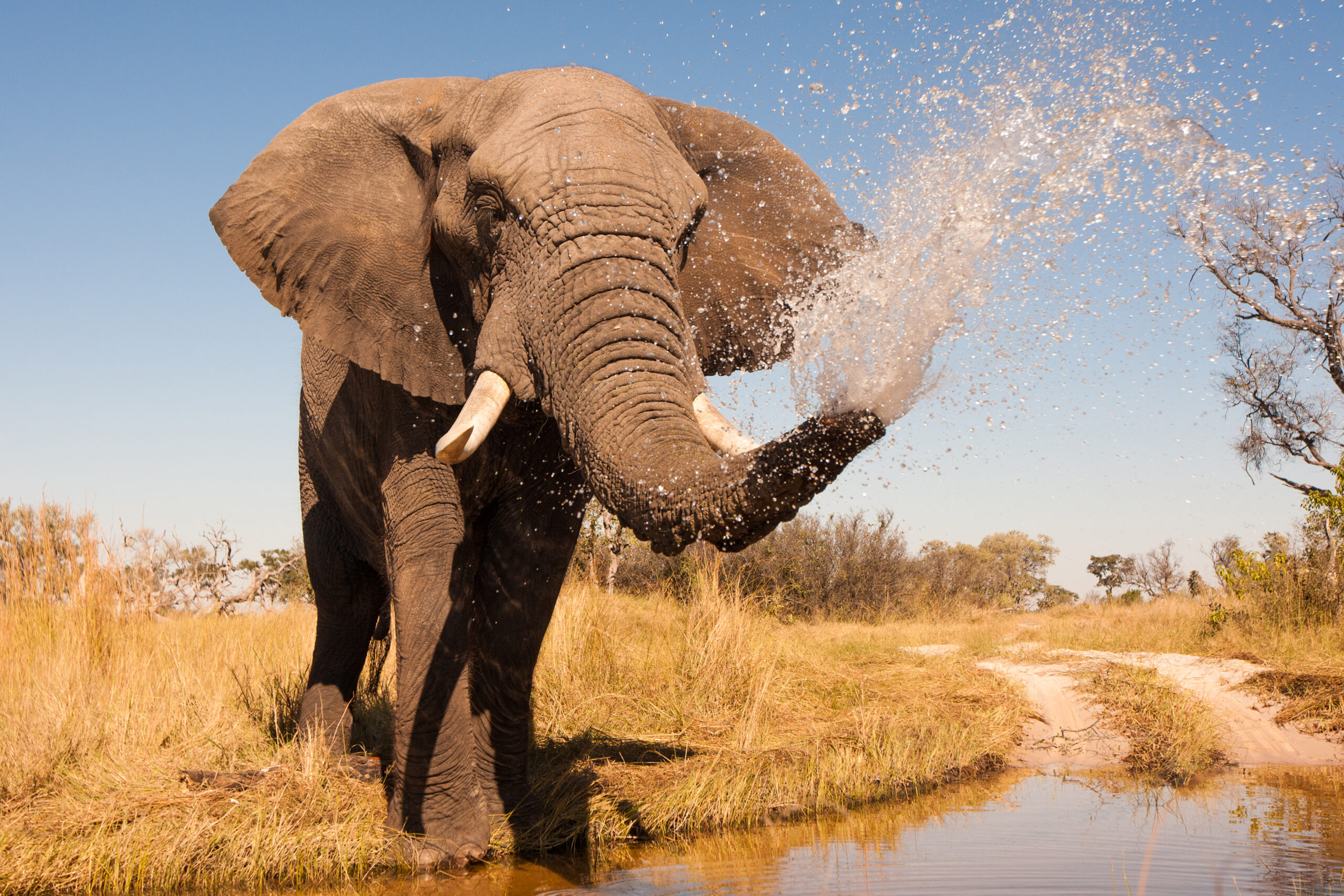 Explore Kenya national park Safari – 7 Days 6 Nights