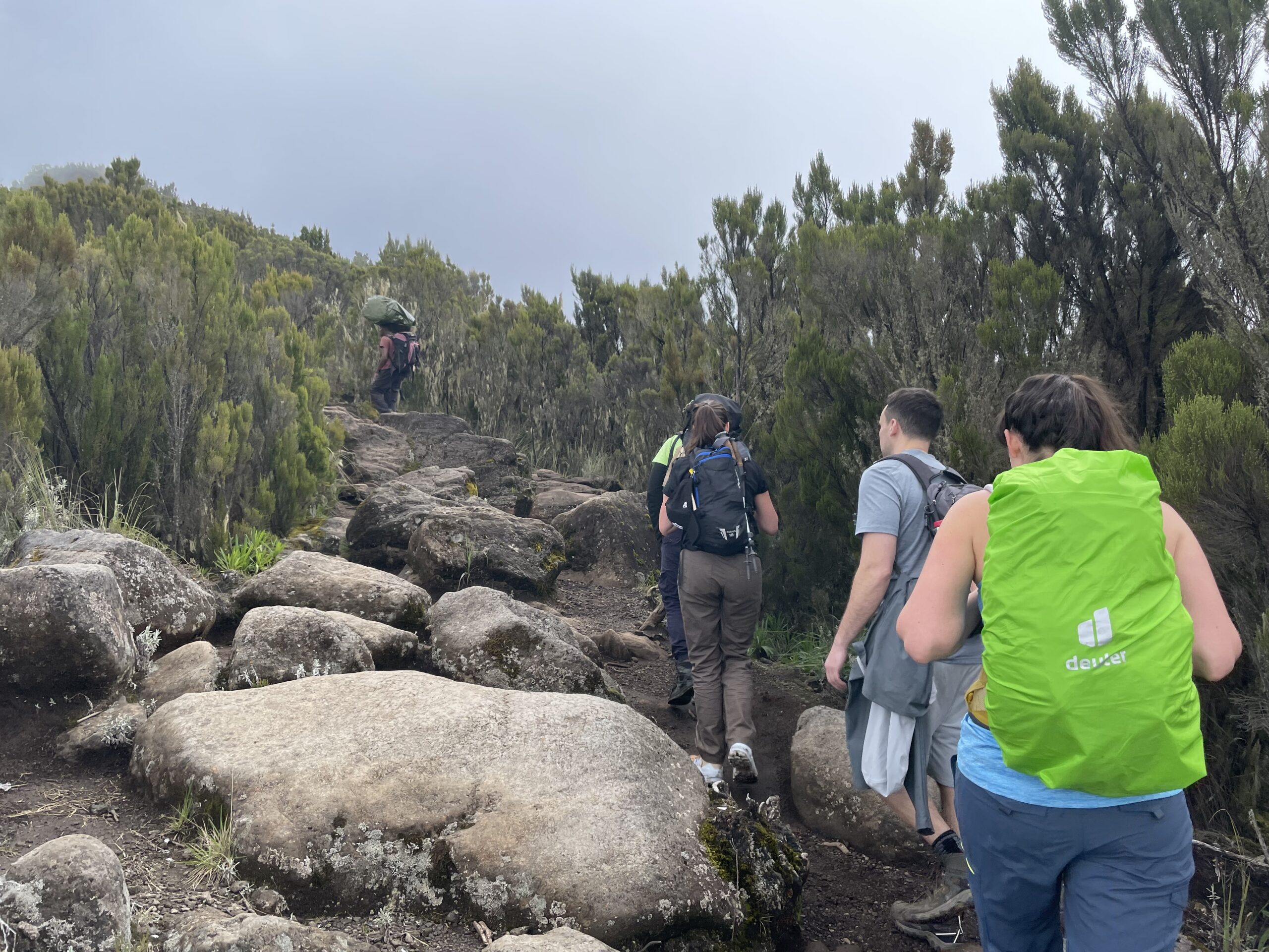 Kilimanjaro Climb Machame Route – 7 days/6 nights