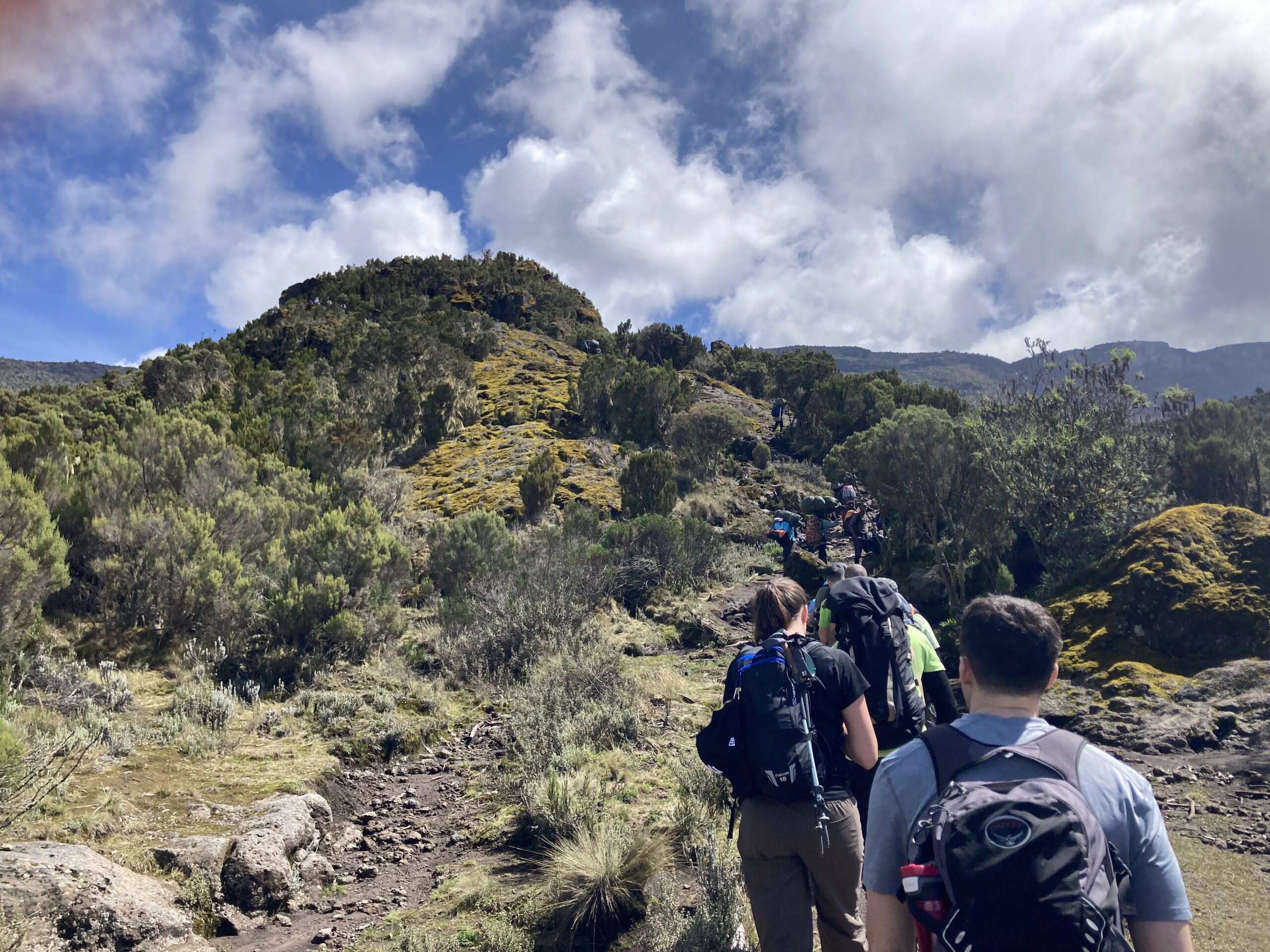 Kilimanjaro Climb Lemosho Route – 8 days/7 nights