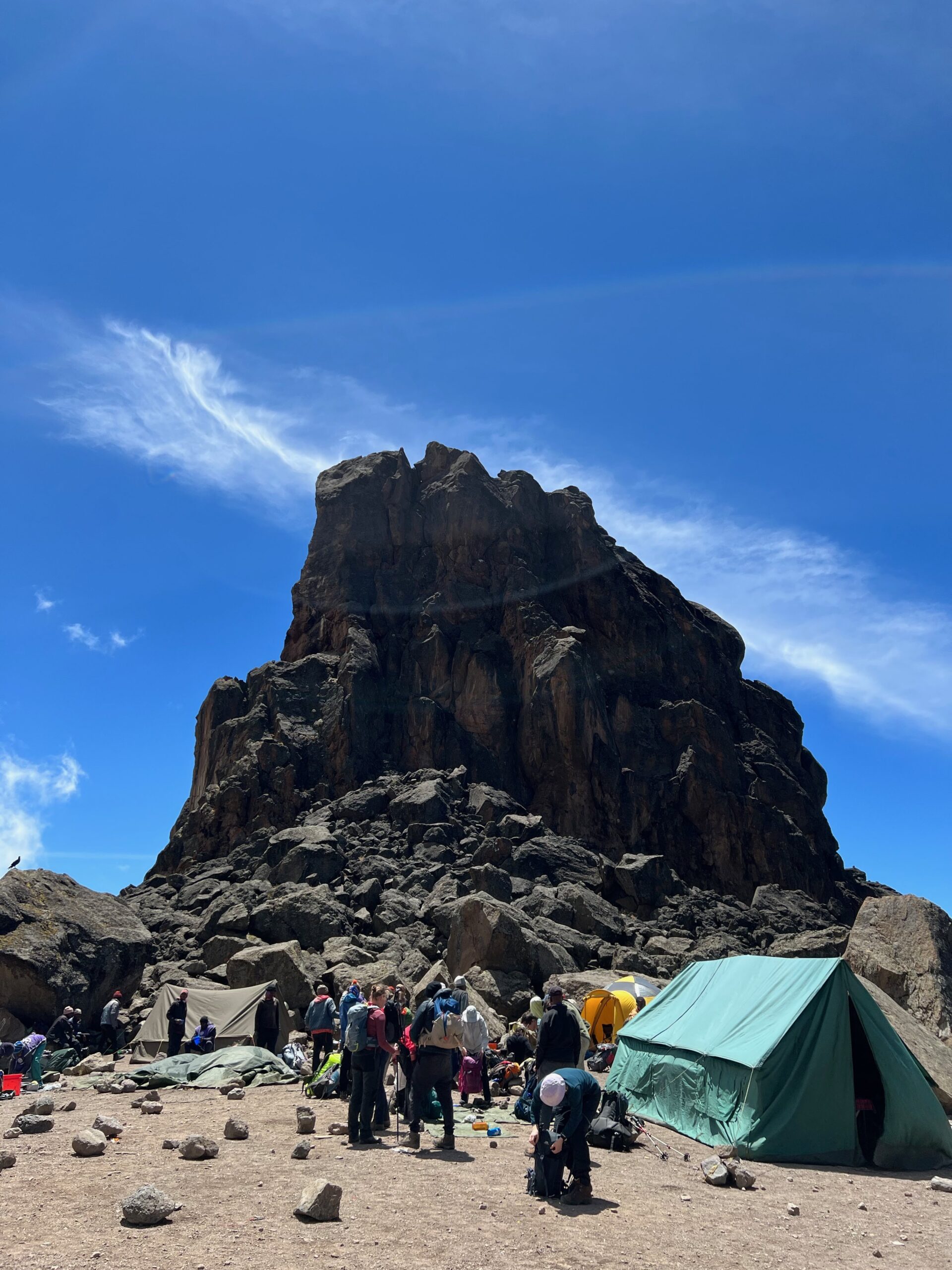 Kilimanjaro Climb Lemosho Route – 8 days/7 nights